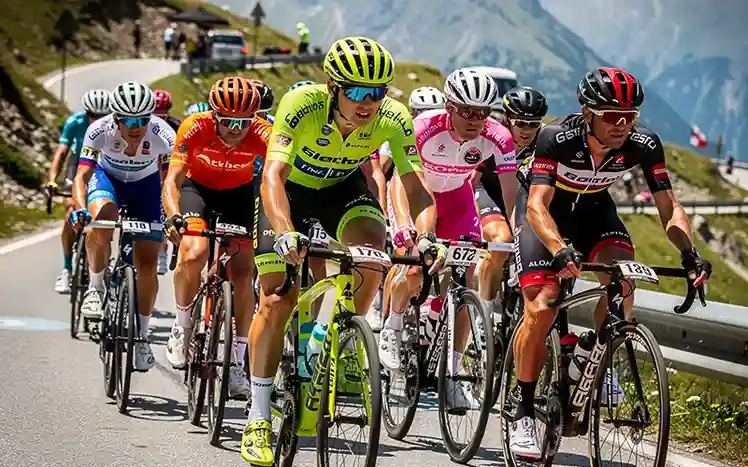 Wielrenners met verschillende rugnummers in koers