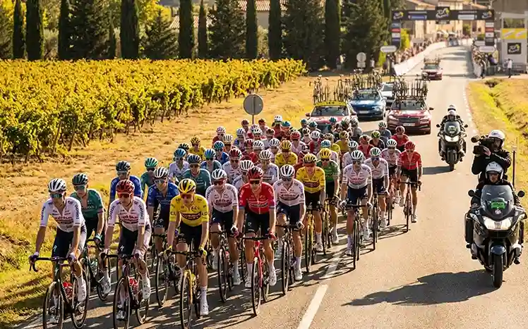 Groot peloton wielrenners op brede weg